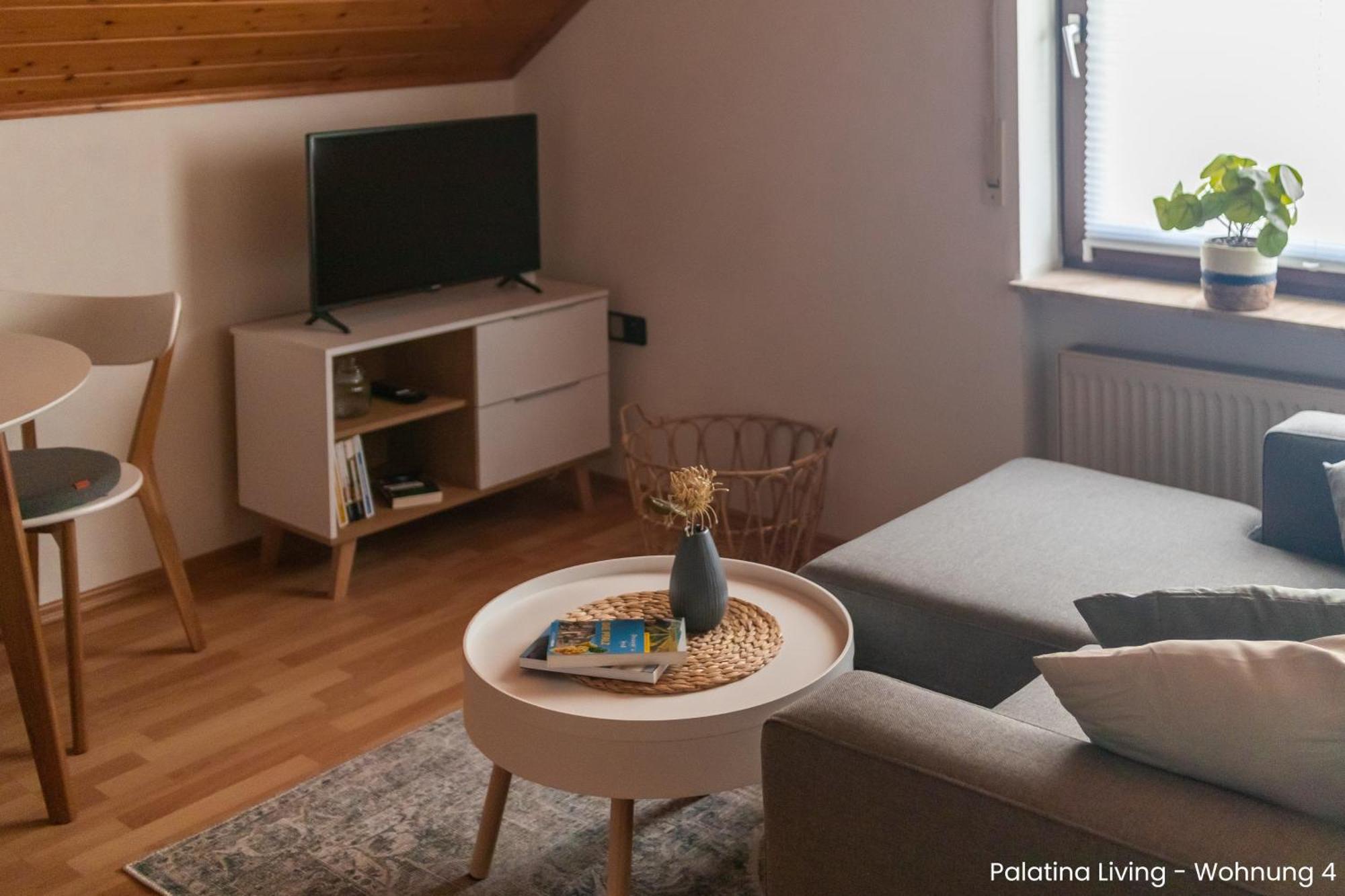 Palatina Living Lägenhet Fischbach Exteriör bild