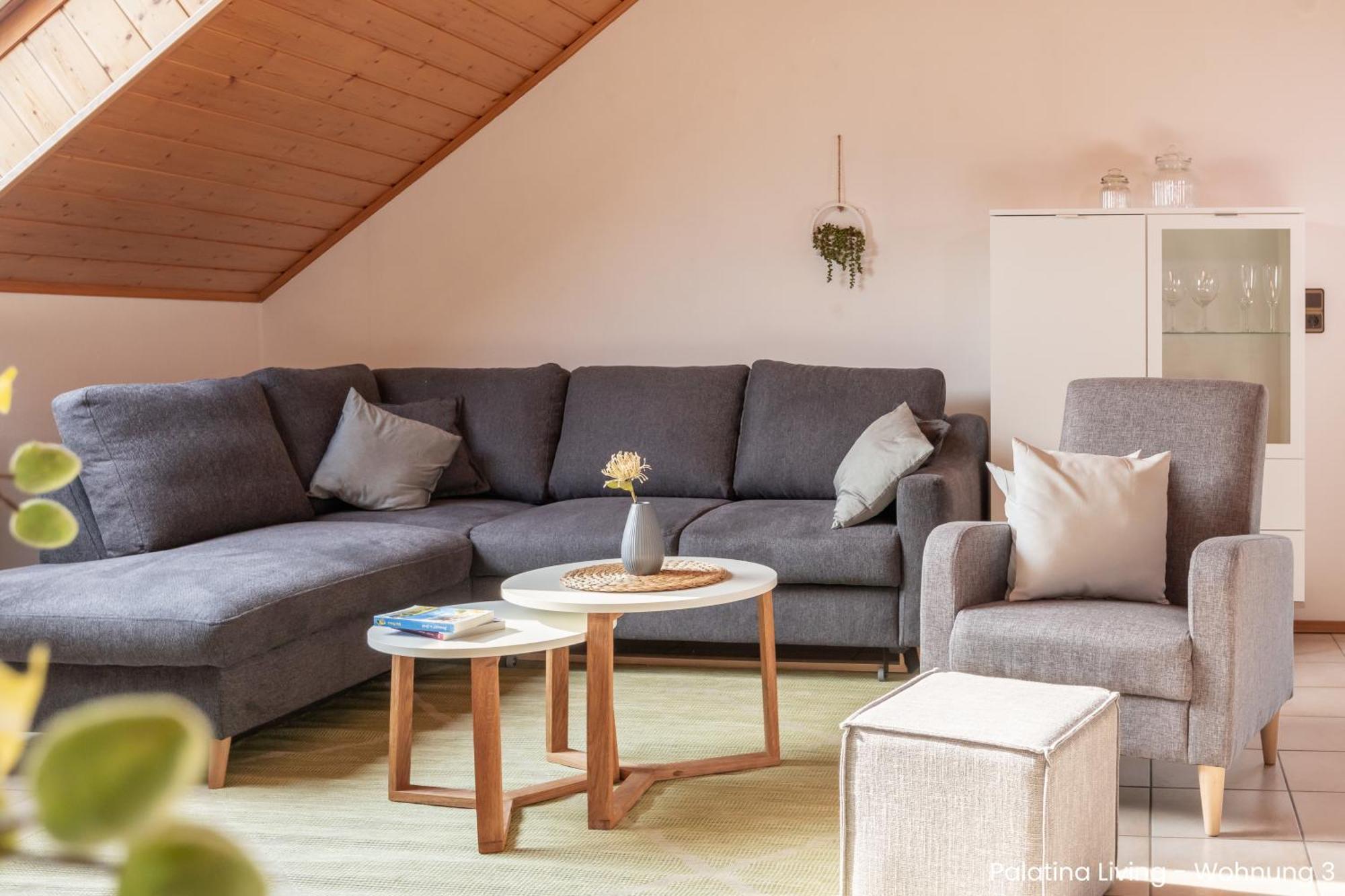 Palatina Living Lägenhet Fischbach Exteriör bild